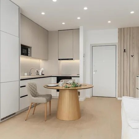 Apartment Luxury Near Office Hub *